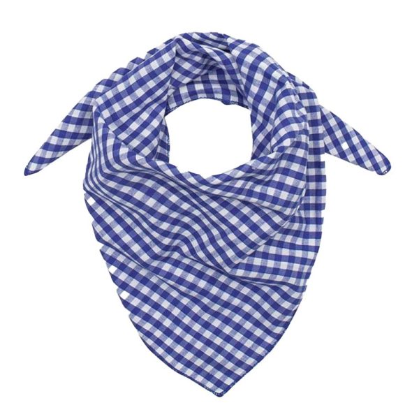 Small Blue Check Neckerchief